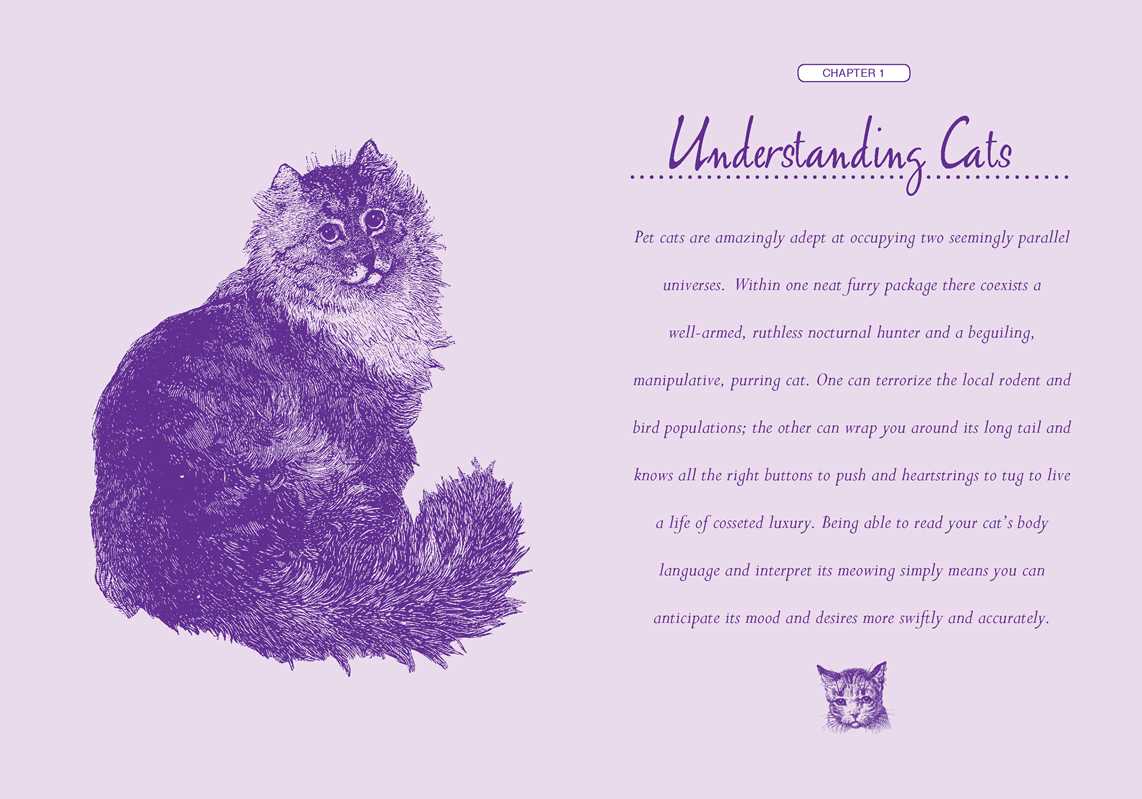 Little Book of Lore for Cat Lovers by Deborah Robertson: Hardcover; 144 pages / English