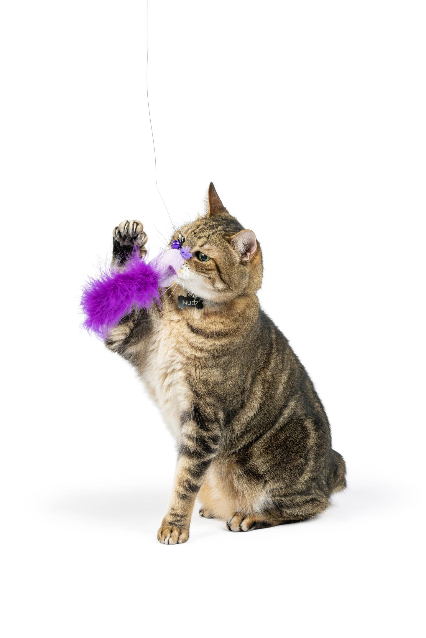 Purple Birdy Feather Teasers 2pk Refill Cat Toy: One Size