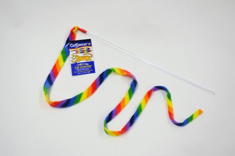 Cat Dancer Cat Charmer Rainbow Cat Toy