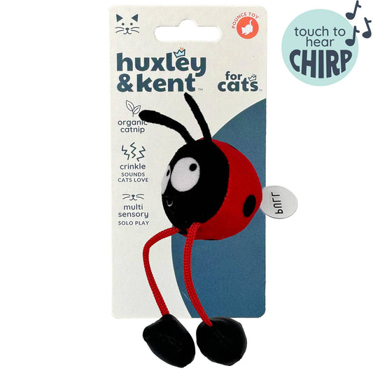 Ladybug Chirpy Cat Toy: One Size