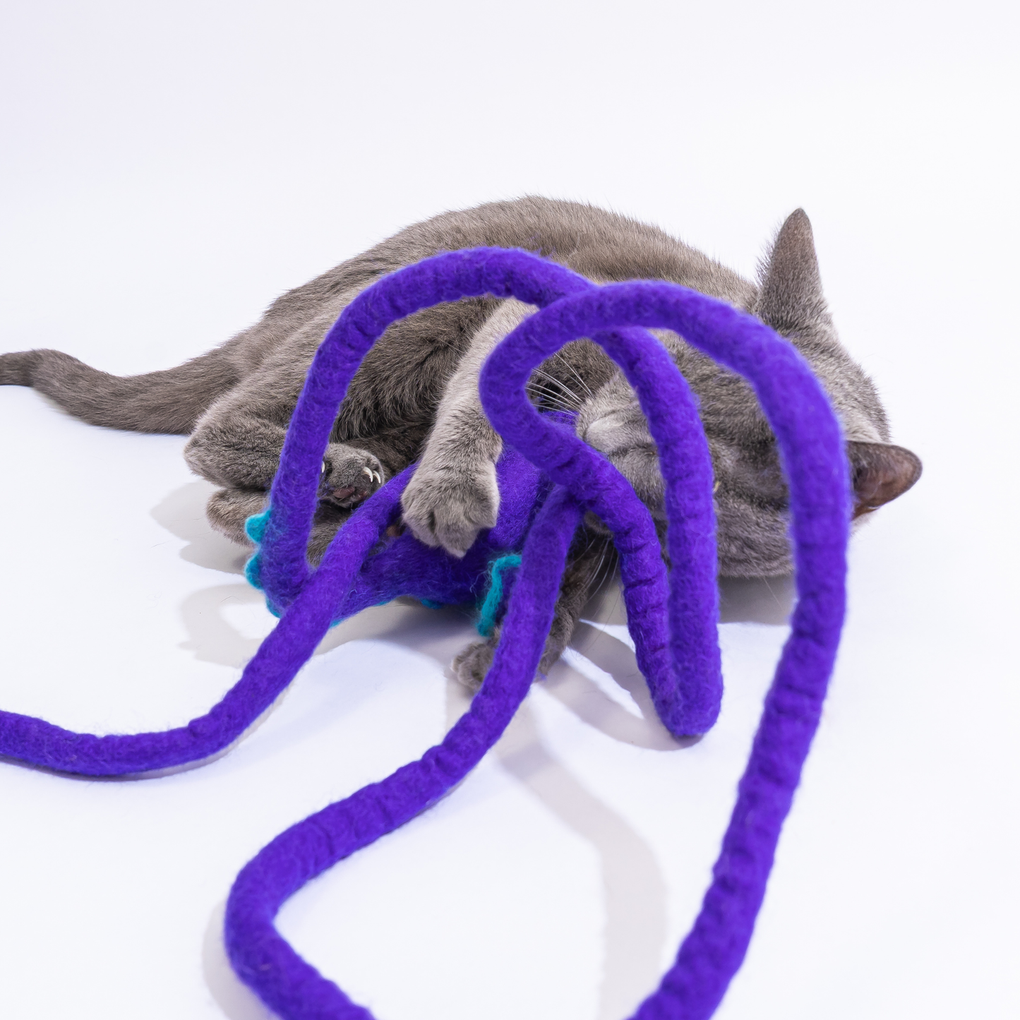Wool Mouse Cat Toy 6-Foot-Tail - red rainbow unicorn dragon: Purple dragon