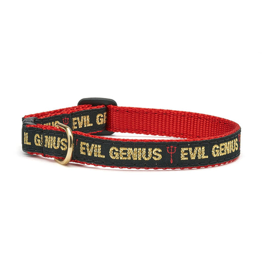 Evil Genius Cat Collar