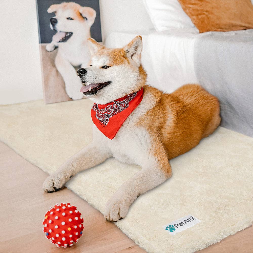 Fluffy Pet Blanket: Beige / Medium - 29" x 40"