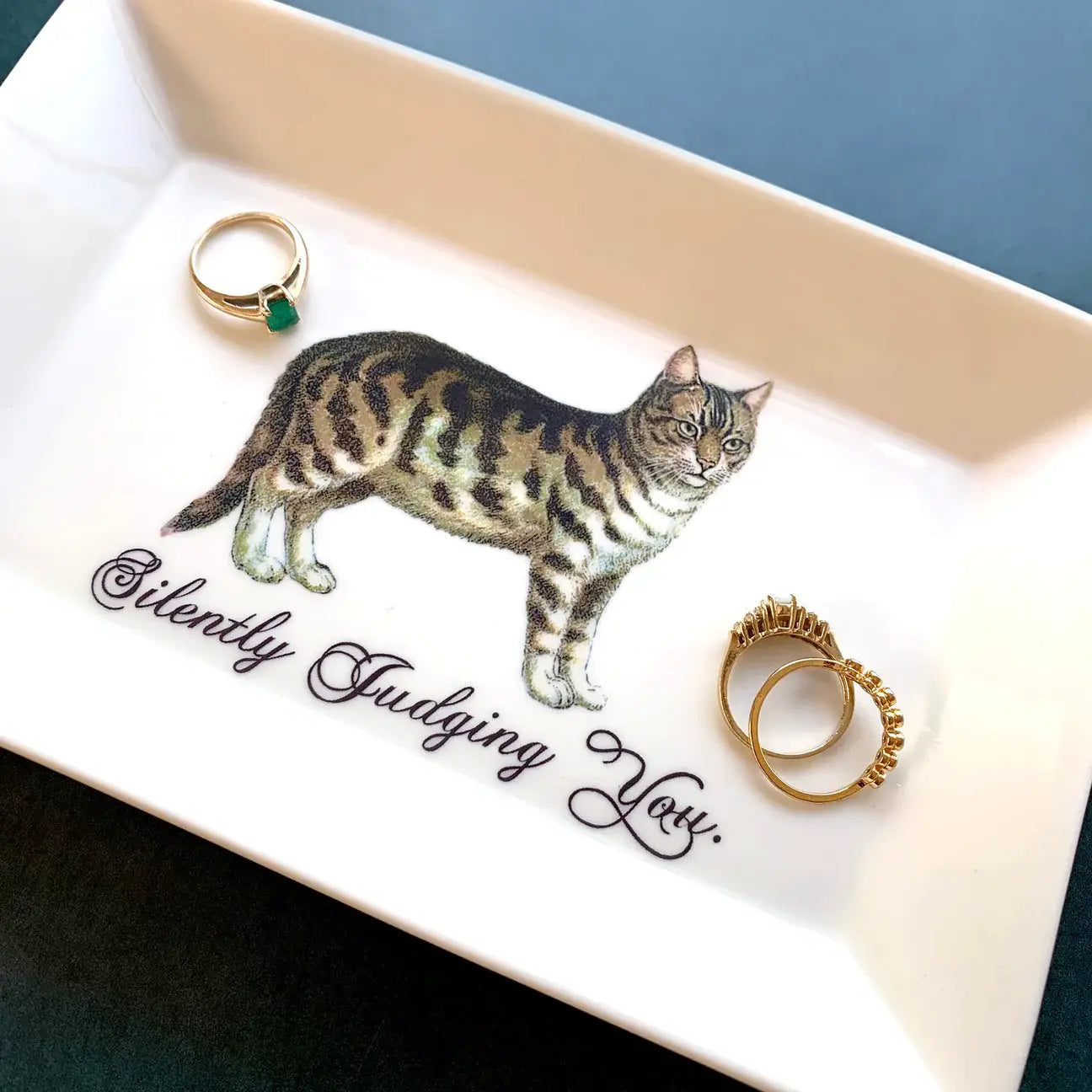 CAT TRINKET TRAY  -"Silently Judging You."