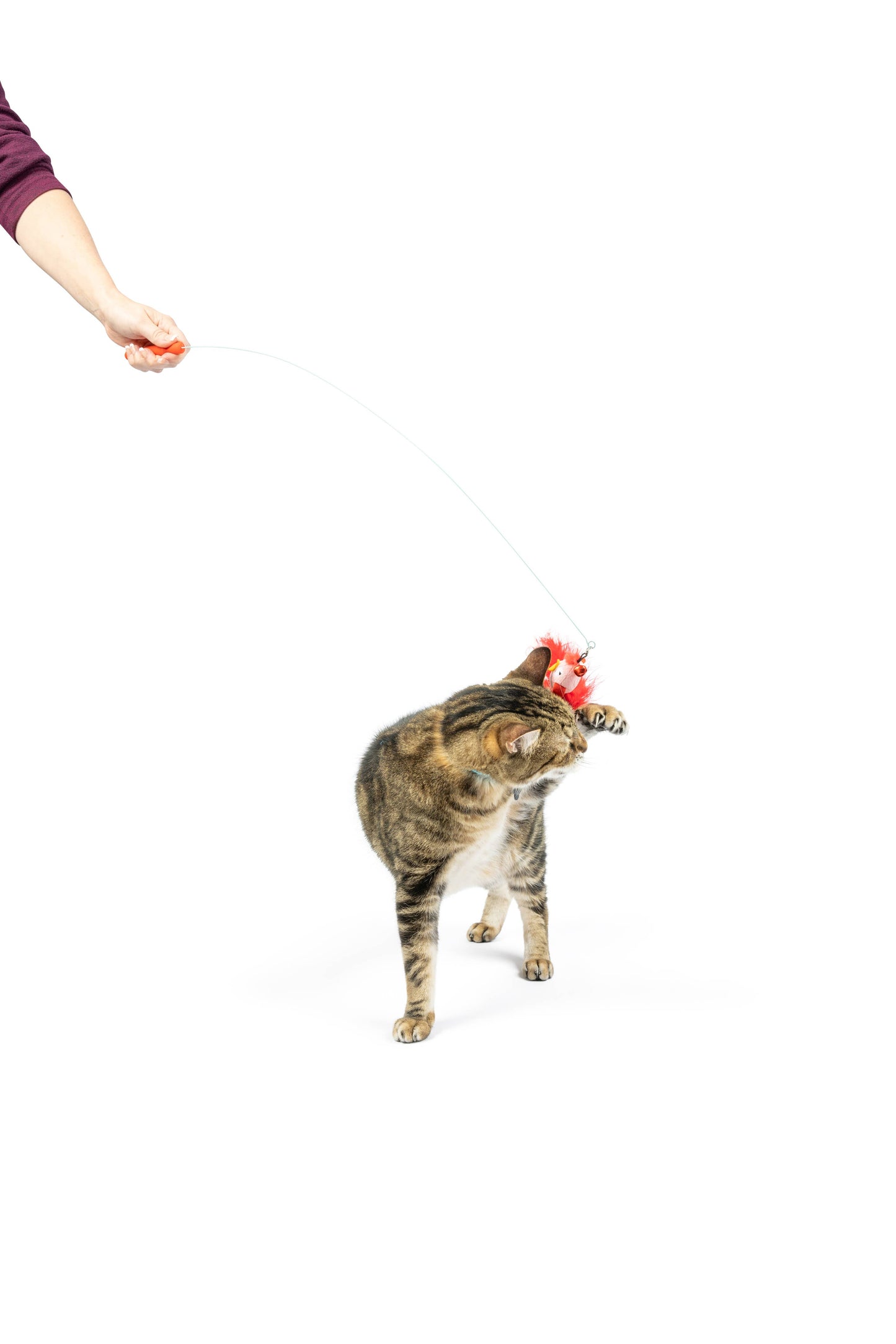 Wire Birdy & Mouse Wand Cat Toy: One Size