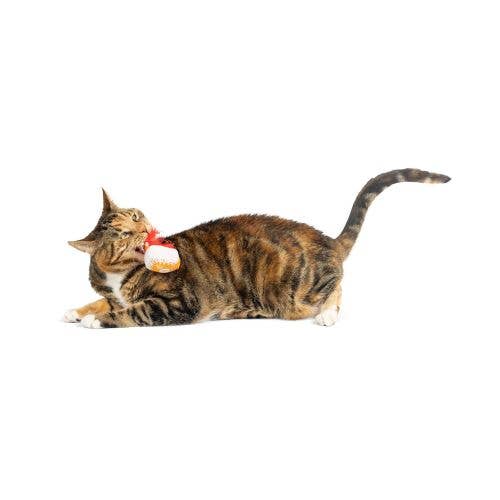 G-House Cat Toy: One Size