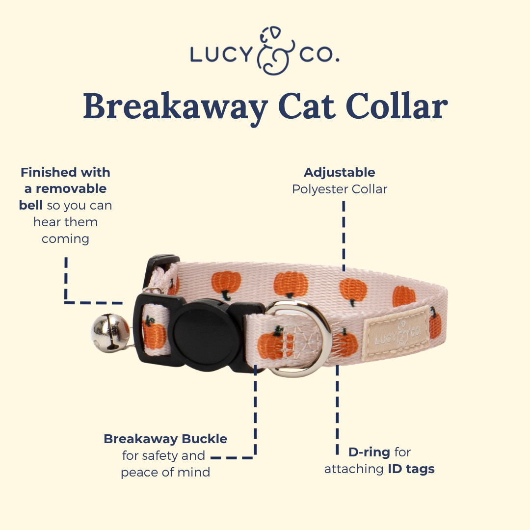 Oh My Gourd Breakaway Cat Collar: L