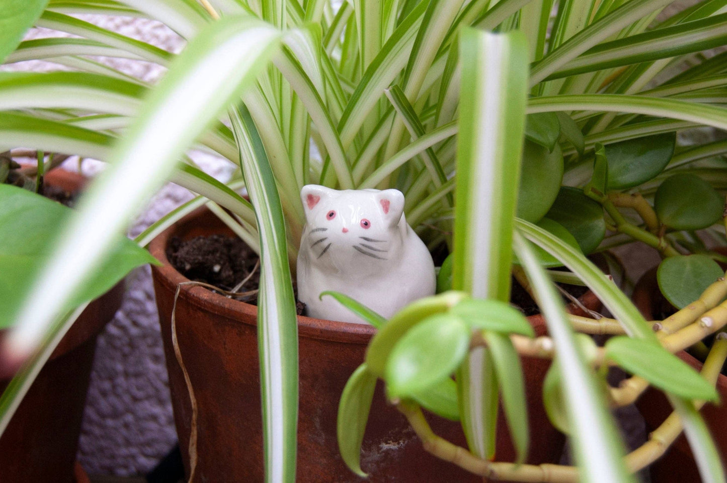 Cat Decorative Object