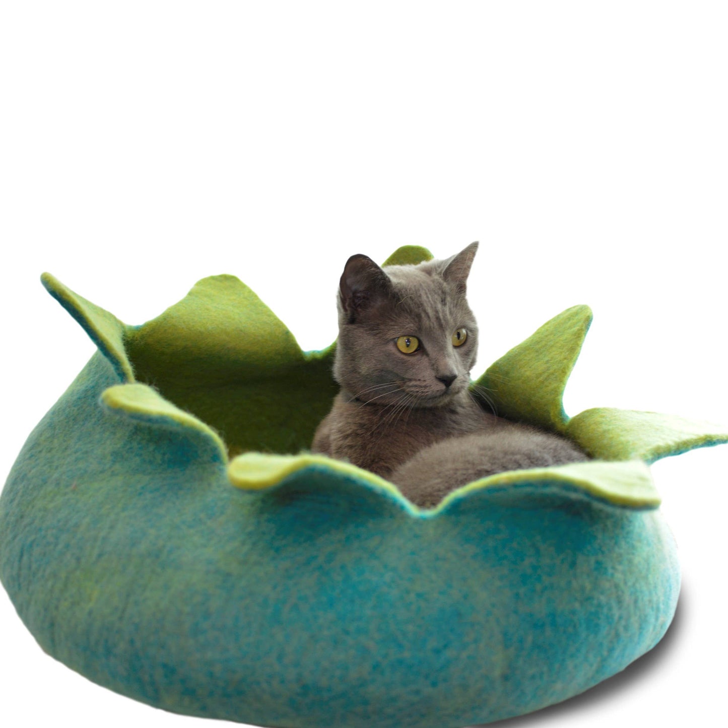 Aqua/ Green Petal Wool Pet Basket: 14"