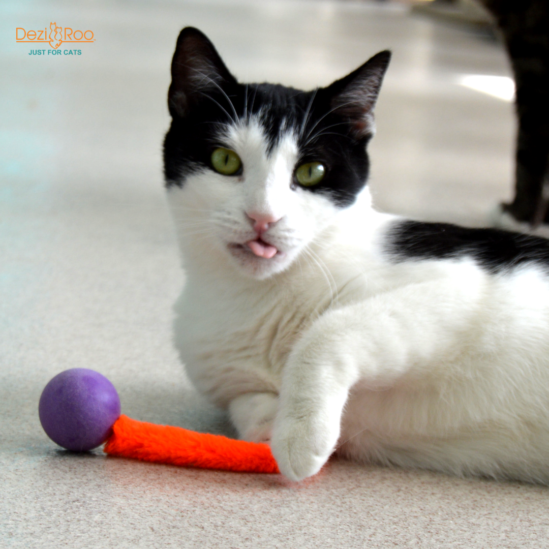 Wiggly Pong - Cat Toy Plastic Pong Ball: Enclosed in poly bag with 4x2 header card