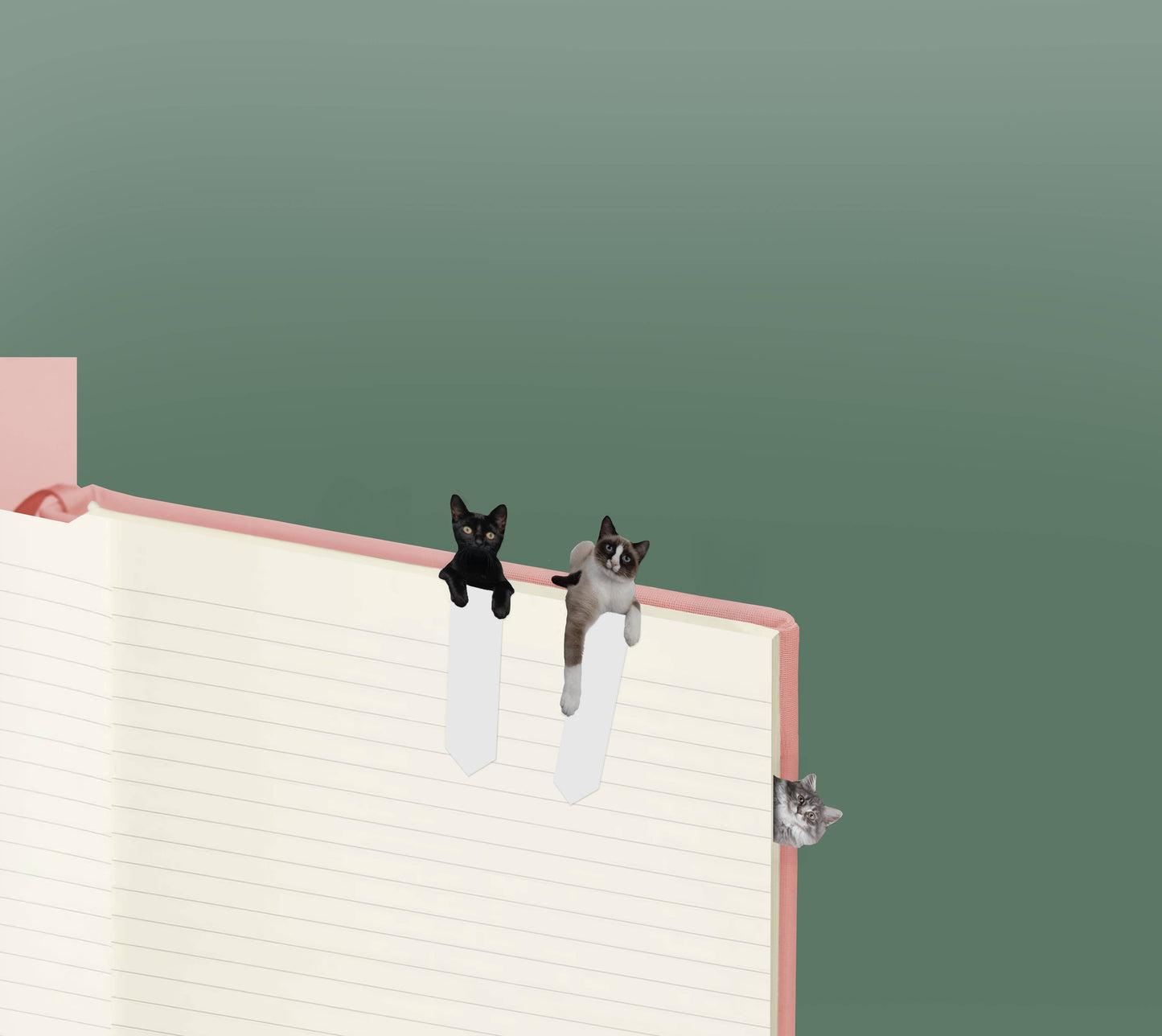 Cat Page Markers | Cute Sticky Tabs for Readers