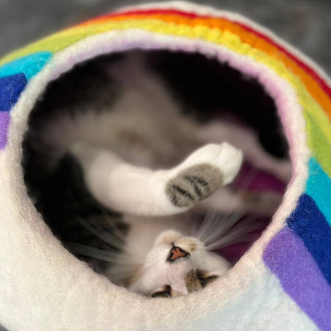 Rainbow Eco Kitty Cave - Cat Cave: With Bag