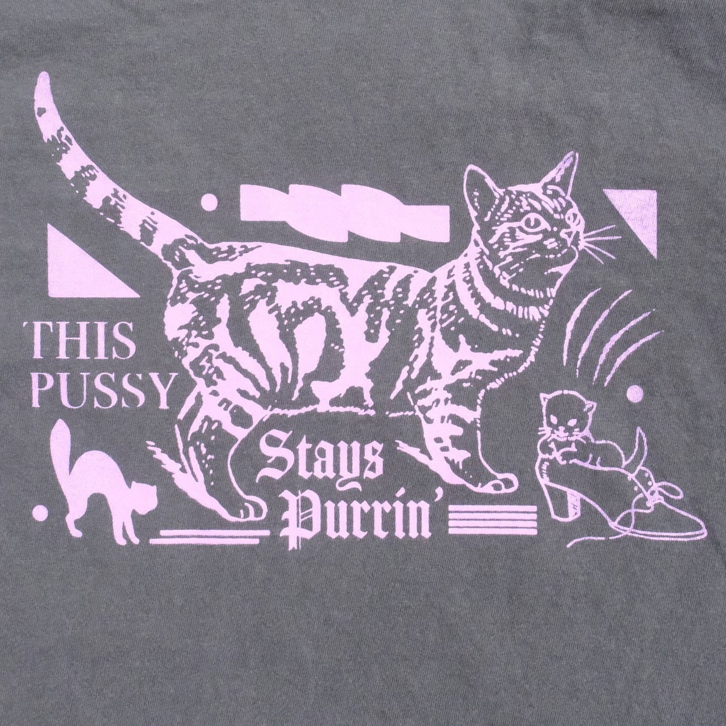 'Purrin' Pussy' Crop Top T-Shirt