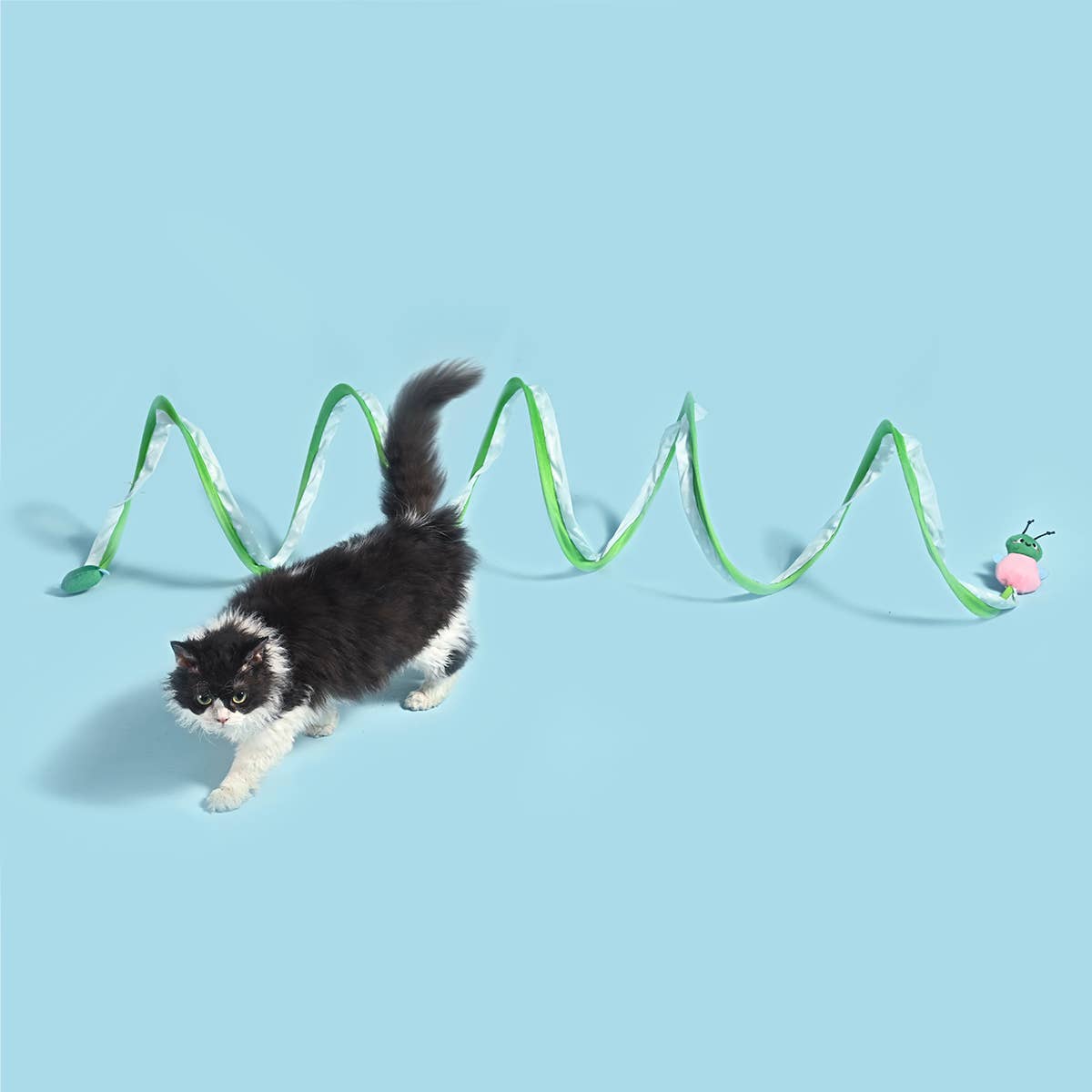 HugSmart Pet - Meow Buddies  | Caterpillar - Cat Toy