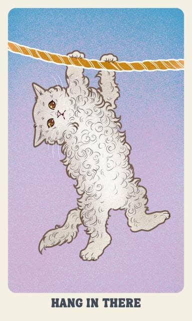 Feline Mystique Oracle Deck and Guidebook: Cards