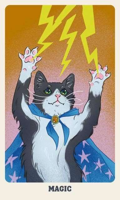 Feline Mystique Oracle Deck and Guidebook: Cards