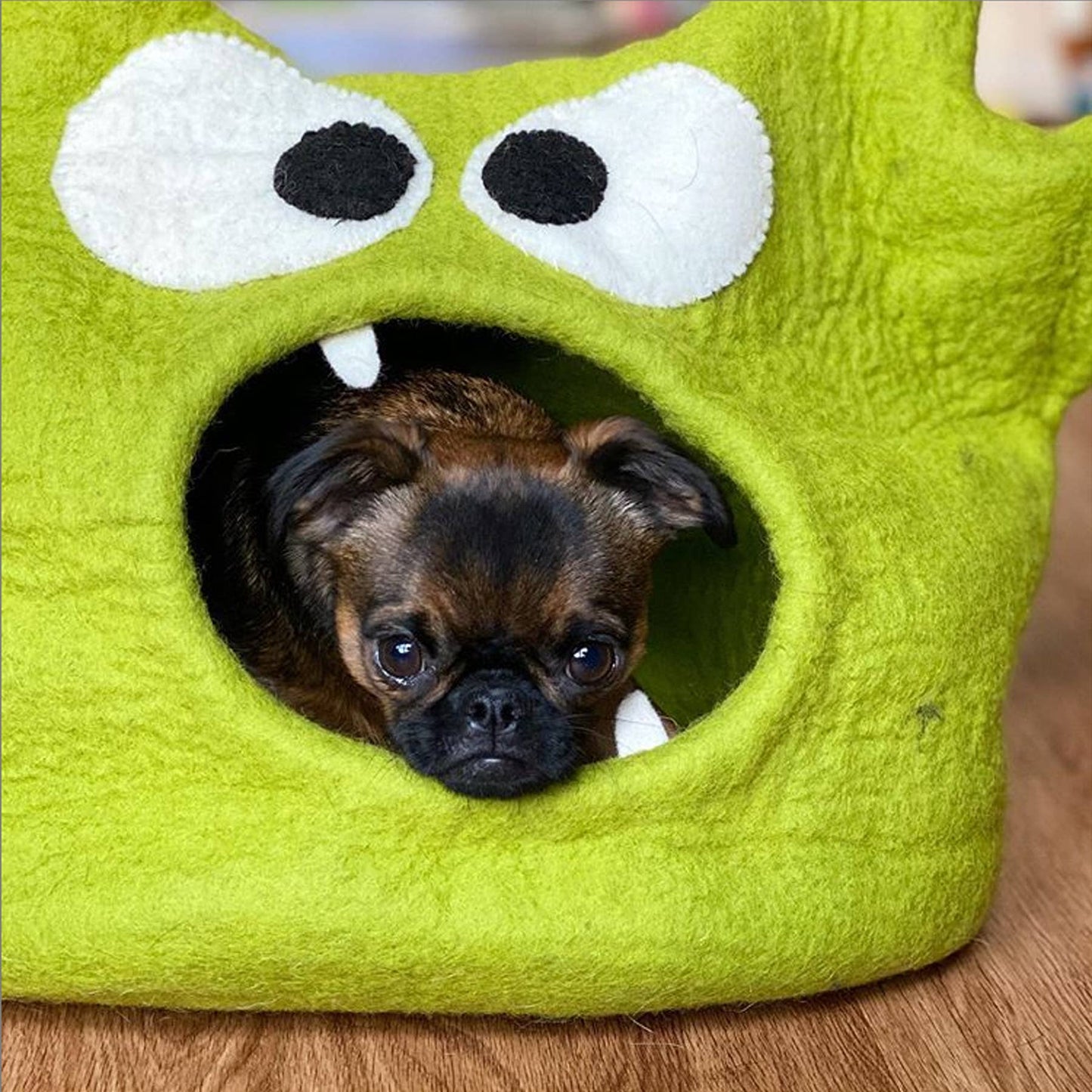 Monster Wool Pet Cave: Green