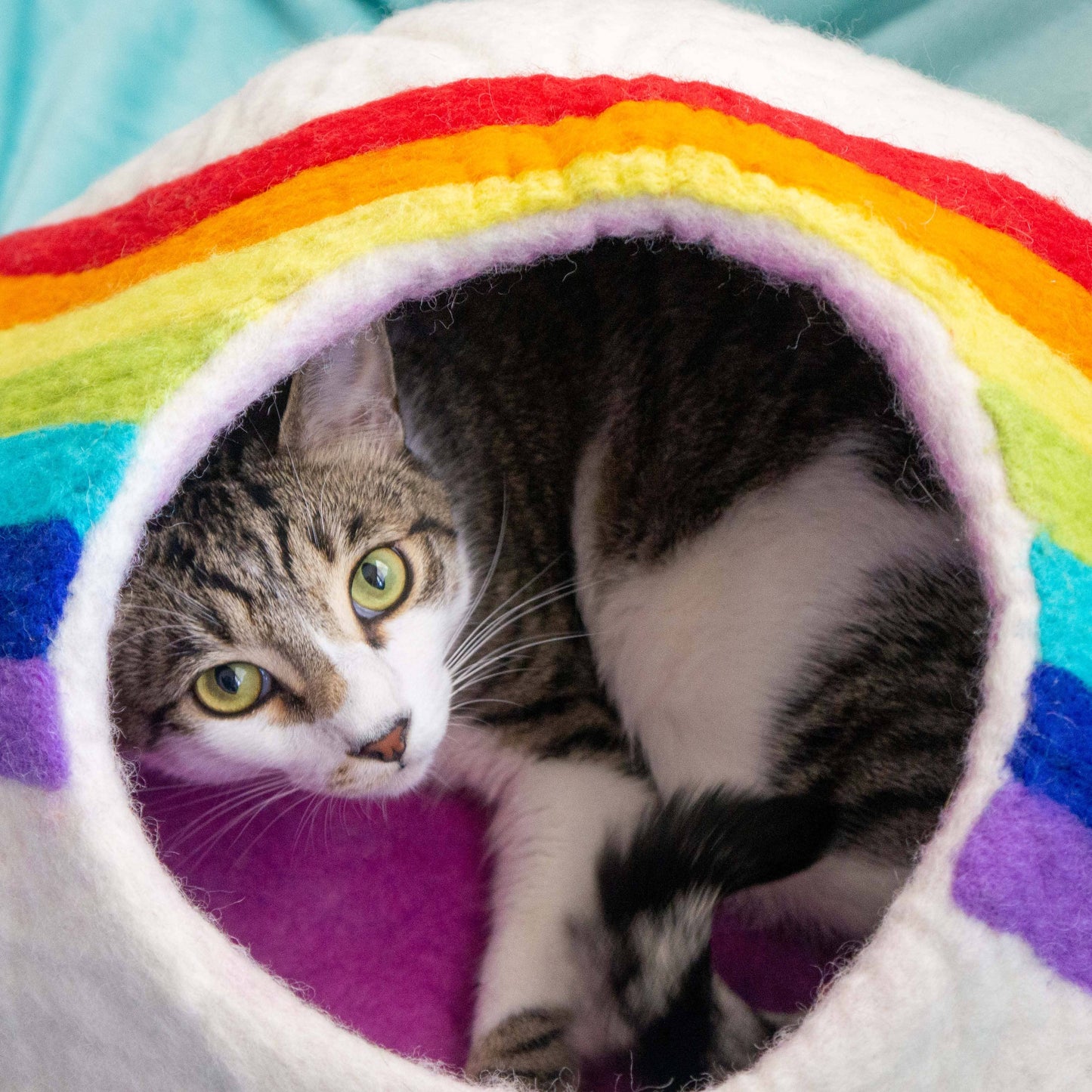 Rainbow Eco Kitty Cave - Cat Cave: With Bag