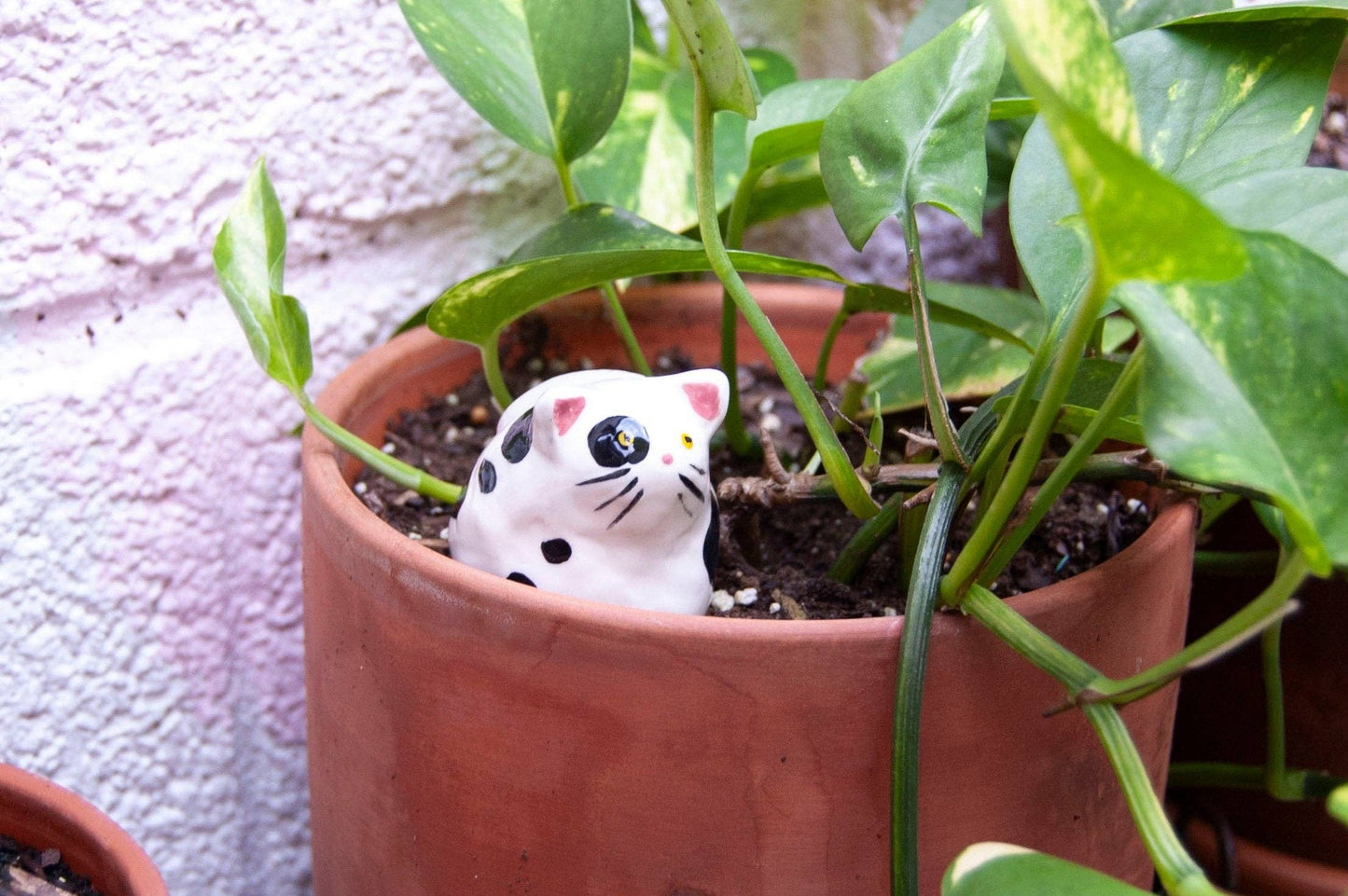 Cat Decorative Object