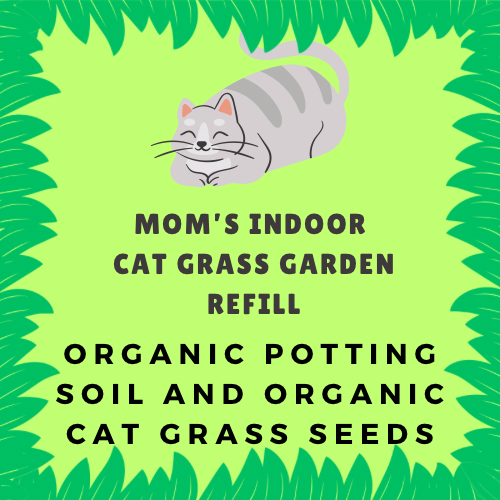 Cat Grass refill pack