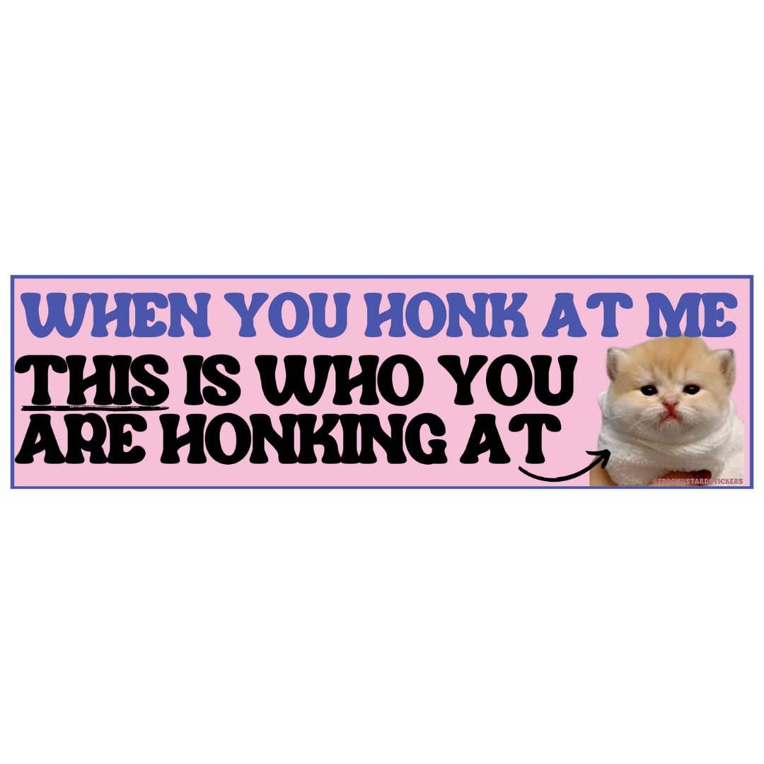When You Honk at Me, This Is Who You Are Honking At Cat: Sticker