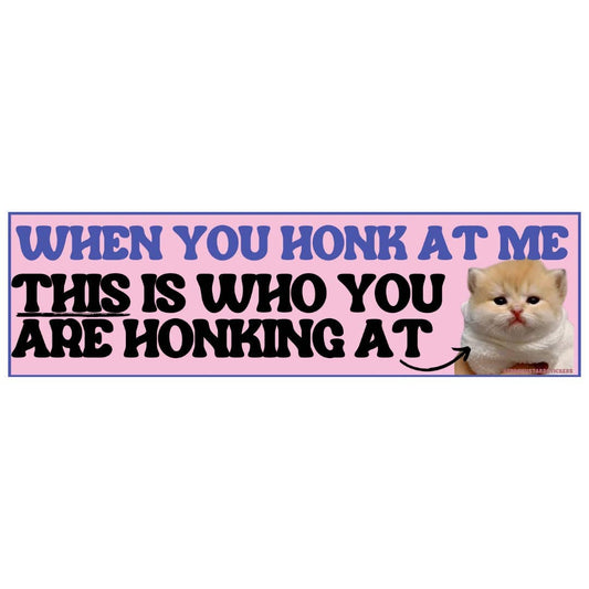 When You Honk at Me, This Is Who You Are Honking At Cat: Sticker