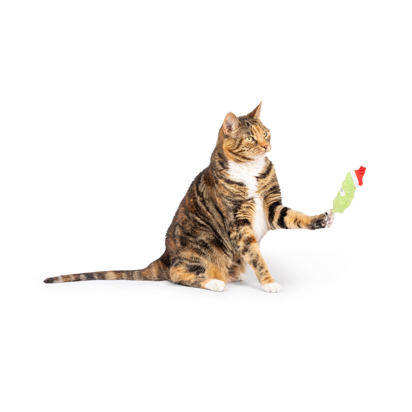 Dilly Claus Cat Toy