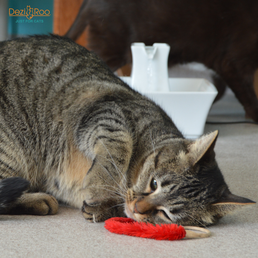 A-Lure-Ring - Ring with tail - Wand Attachment Toy