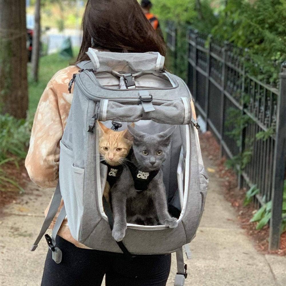 "The Navigator" Convertible Cat Backpack