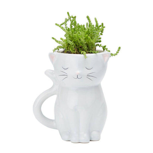 Sweetie Cat Planter | Streamline