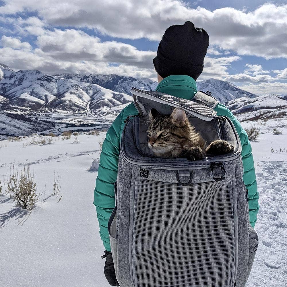 "The Navigator" Convertible Cat Backpack