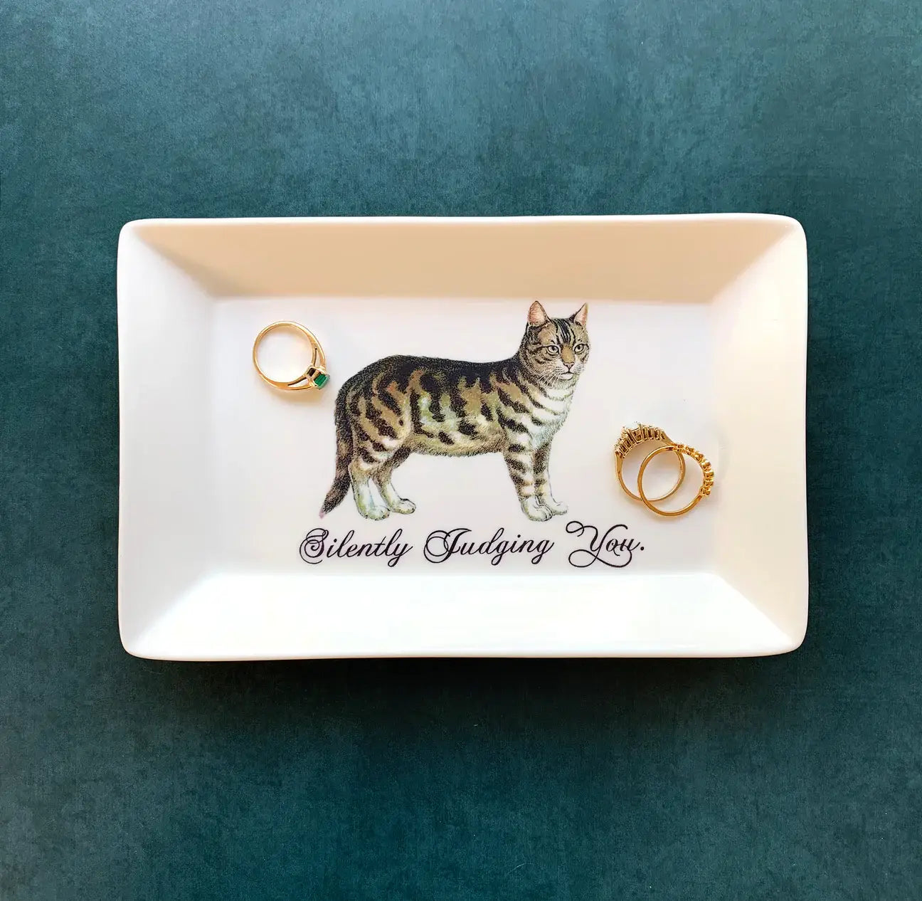 CAT TRINKET TRAY  -"Silently Judging You."